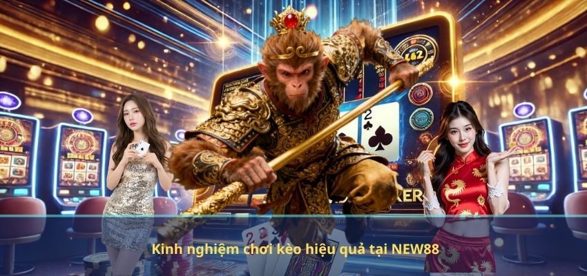 Kinh nghiệm chơi kèo hiệu quả tại NEW88
