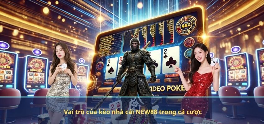 Vì sao kèo nhà cái NEW88 được xem là “mỏ vàng” cho người chơi? Vai trò của kèo nhà cái NEW88 trong cá cược