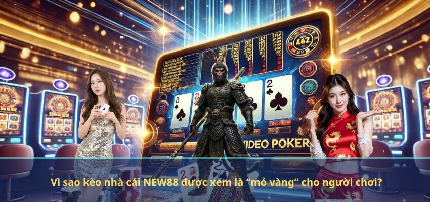Vì sao kèo nhà cái NEW88 được xem là “mỏ vàng” cho người chơi? Vì sao kèo nhà cái NEW88 được xem là “mỏ vàng” cho người chơi?